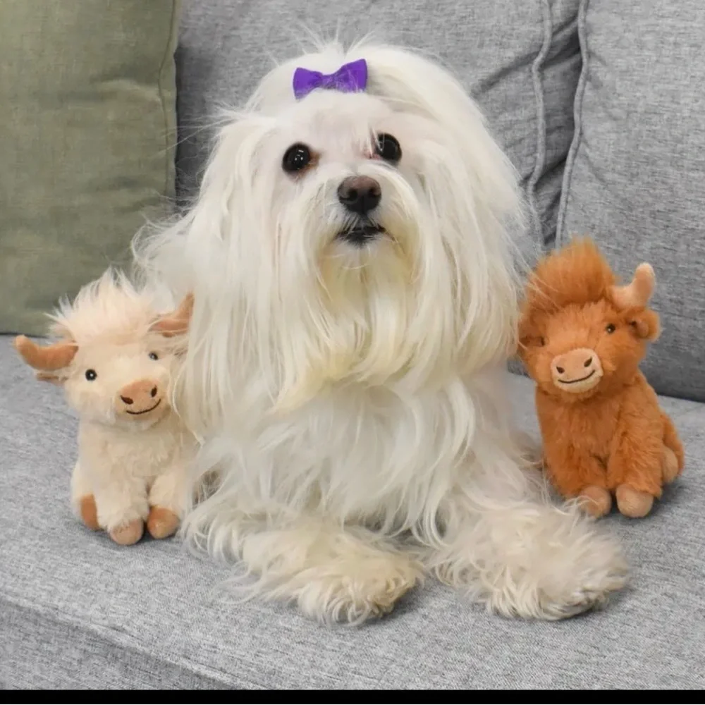 NEW Mini Plush Highland Cow Dog Toy Stuffed Animal - Rust Tan